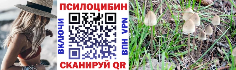 кракен сайт Жигулёвск Псилоцибиновые грибы Magic Shrooms